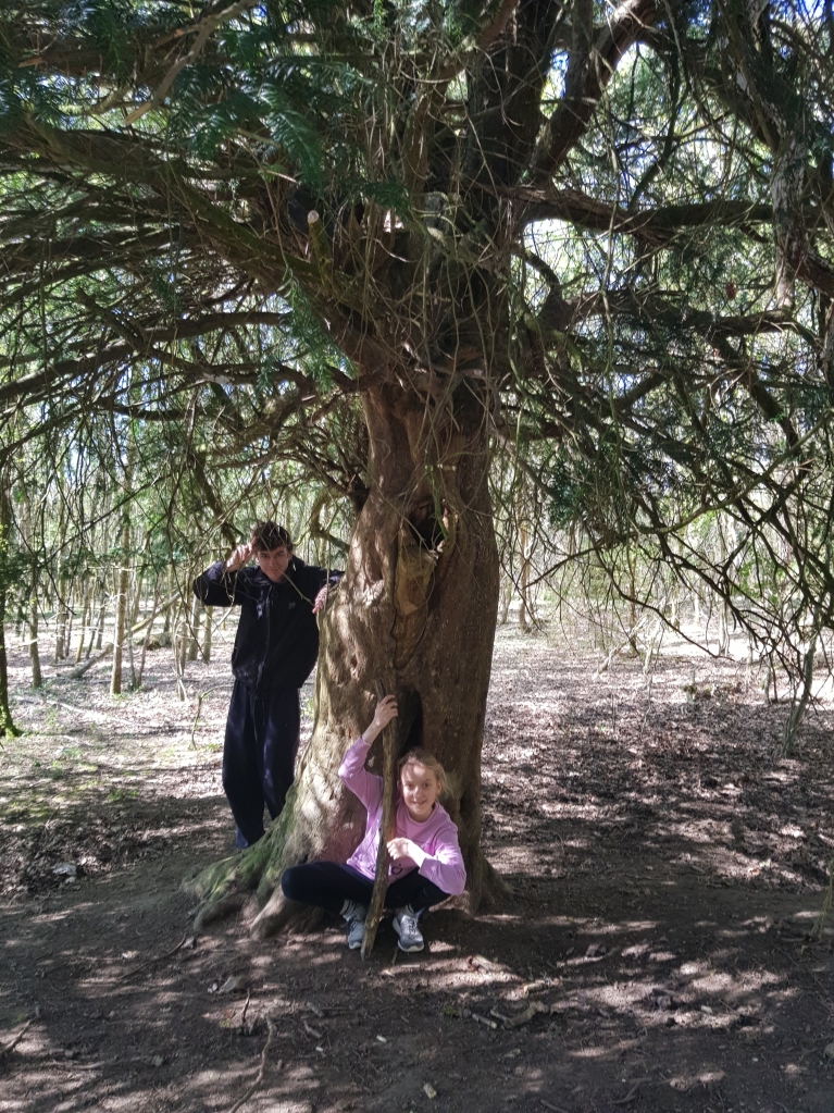 Photo of two of the children posing by a gnarled tree with newly planted patch of trees in the background.